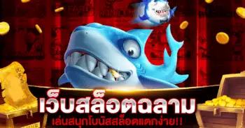 เว็บสล็อต ฉลาม