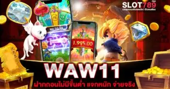 WAW11